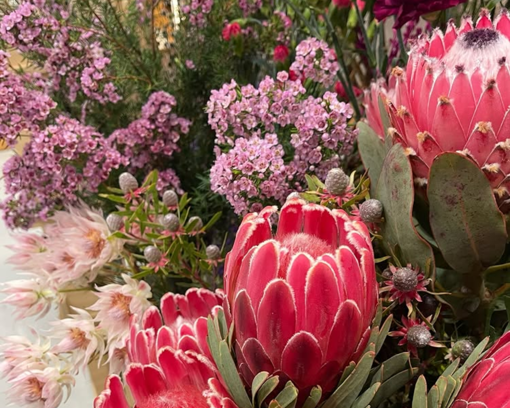 Why Coastal Blooms Are Best: A Rockingham Florist’s Guide to Long-Lasting Flowers