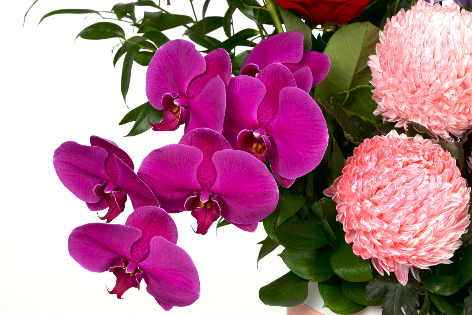 Signature Arrangement